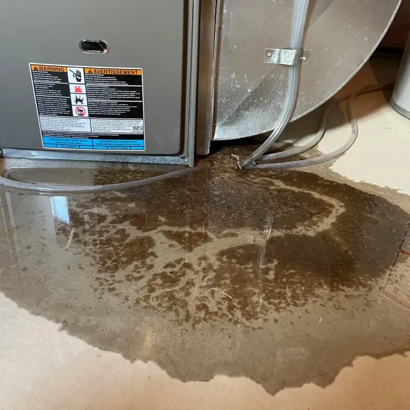 Appliance Leak Cleanup in Jackson County, OR